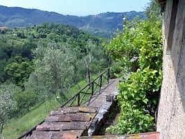 Il Metatino - INH 22516