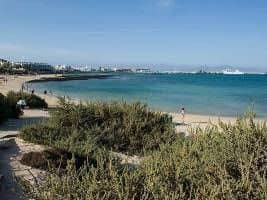 Las Dunas de Corralejo - INH 24334 Las Dunas de Corralejo - INH 24334