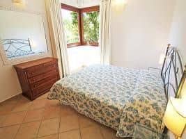 Carlo - INH 28838 Carlo - INH 28838