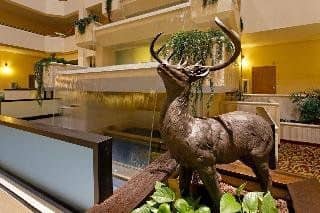 The Holiday Inn Grand Montana