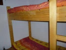Les Asters - INH 27669 Les Asters - INH 27669