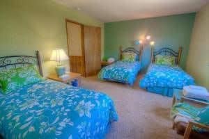 South Lake Tahoe - 4 BR Home Private Hot Tub Pet Friendly Fenced Yard - LTA 8065