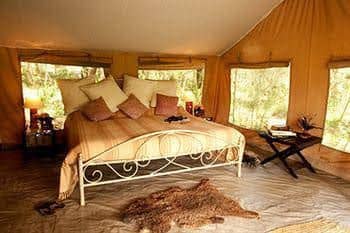 Nairobi Tented Camp Nairobi Tented Camp