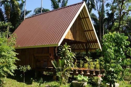 Khao Sok Jungle Resort