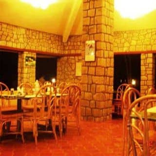 Wild Chalet Resort Wild Chalet Resort