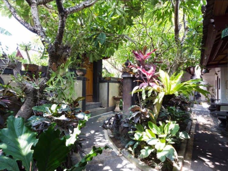 Dana Guesthouse Dana Guesthouse