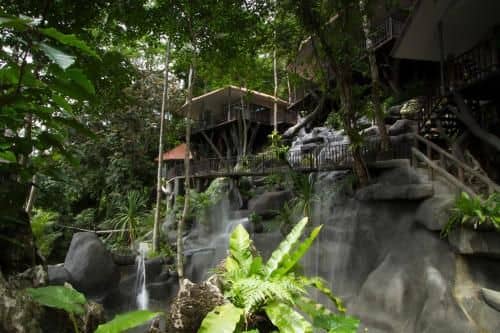 Rock and Tree House Resort