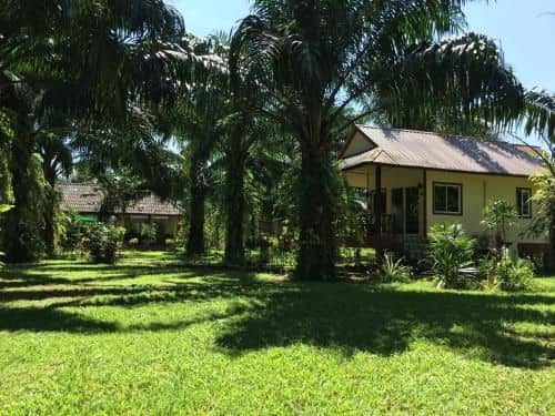 Khao Sok Palm Garden Resort
