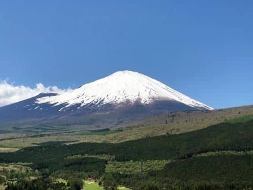 Fuji Subashiri Condominium Tannpopo