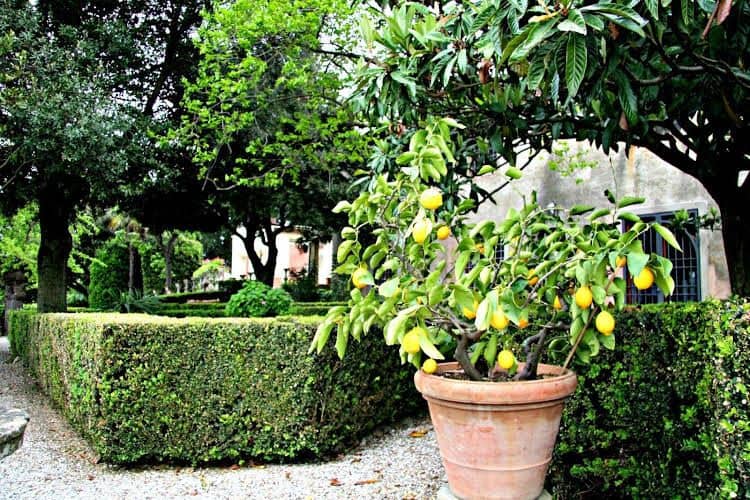 Villa Pecchioli Villa Pecchioli