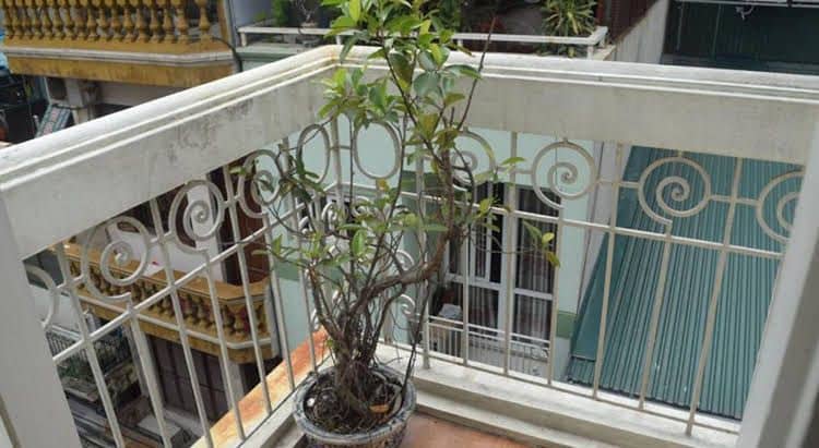 Hanoi Massive Hostel