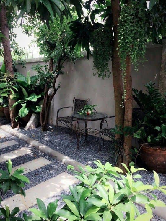 Little Mango Lovely Homestay
