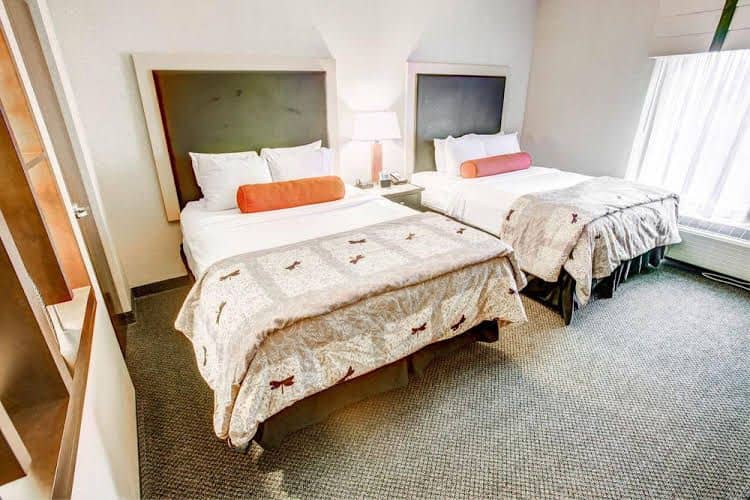 Cambria and suites