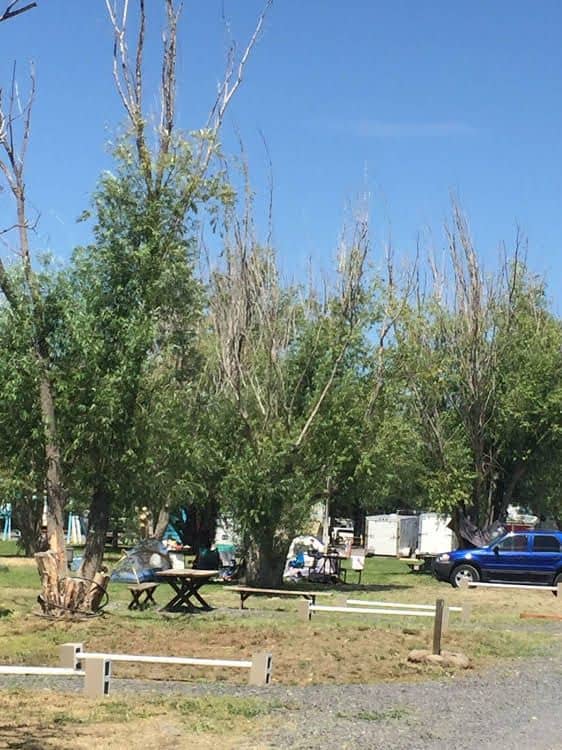 Sunny Springs Resort and Campground
