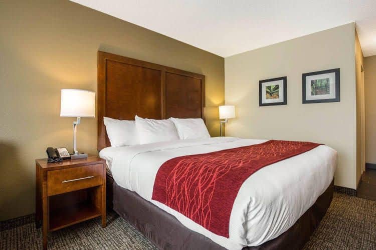 Comfort Inn Comfort Inn