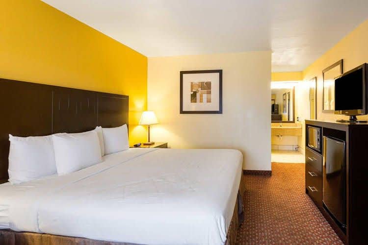 Quality Inn Quality Inn