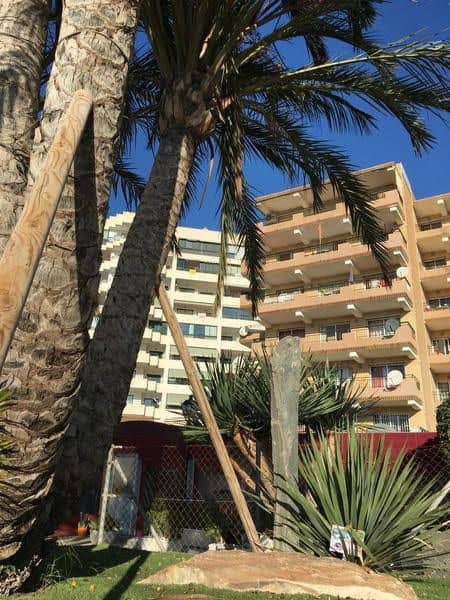 Odysea Apartamentos
