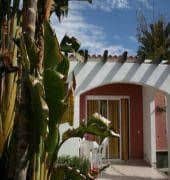 Palm Garden Bungalows Palm Garden Bungalows