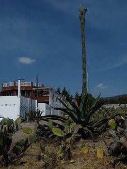 Hostal Tamoanchan Hostel