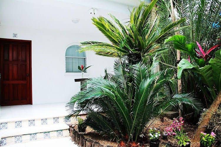 Tropical Casablanca Party
