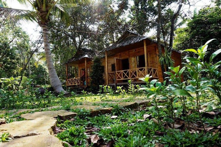 Giraffa Phu Quoc