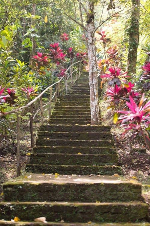 Bali Lush
