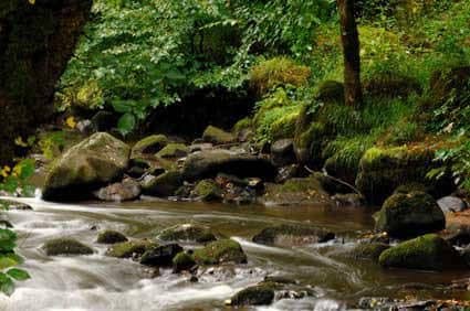 Moulin des Ruats