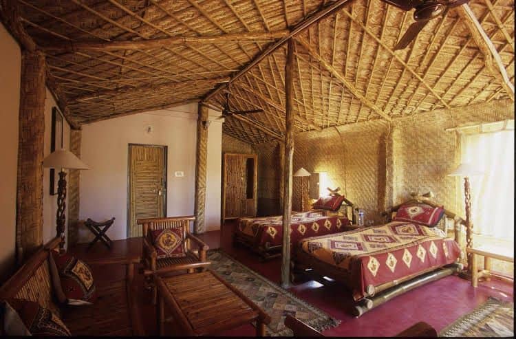 Jungle Mantra Safari Camp Jungle Mantra Safari Camp