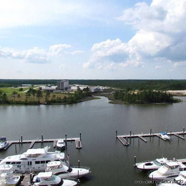 The Wharf by Youngs Suncoast