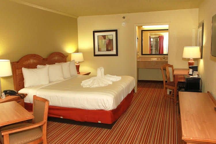 Suite Dreams