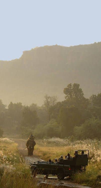 Mahua Kothi Bandhavgarh National Park Mahua Kothi Bandhavgarh National Park