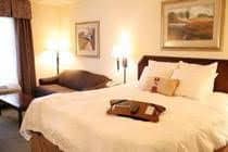 Hampton Inn Suites San Marcos Texas
