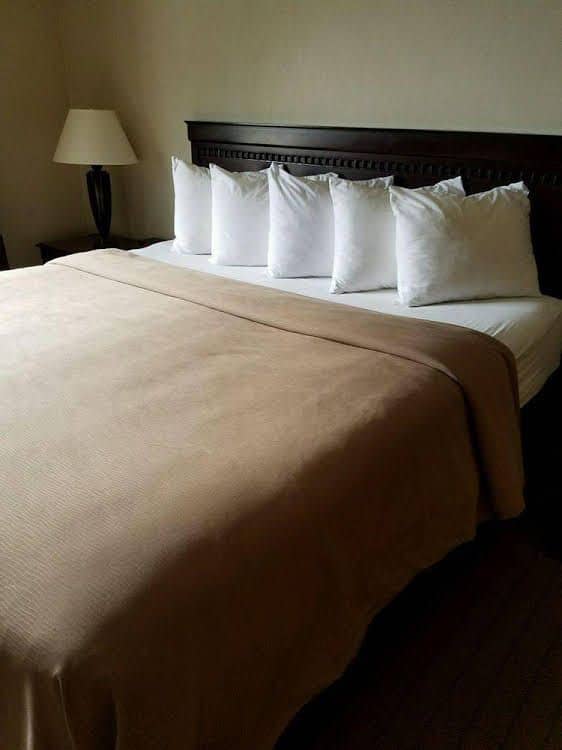 Quality Inn Florence