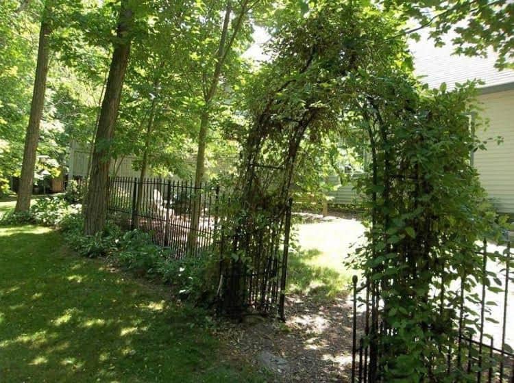 Bunny Trail Guest House