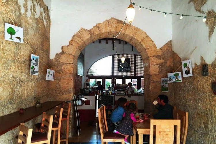 Amatle Cafe Organico and Hostal Amatle Cafe Organico and Hostal