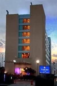 Golden Tulip Essential