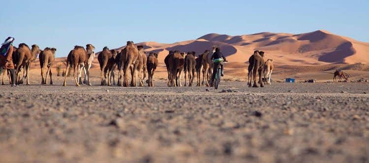 Kam Kam Dunes