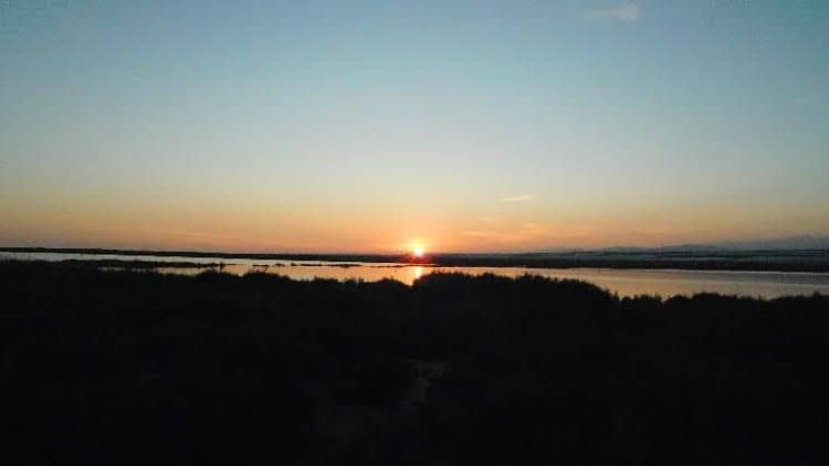 Playamar Playamar