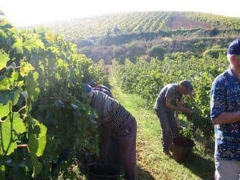 Agriturismo Tarantola