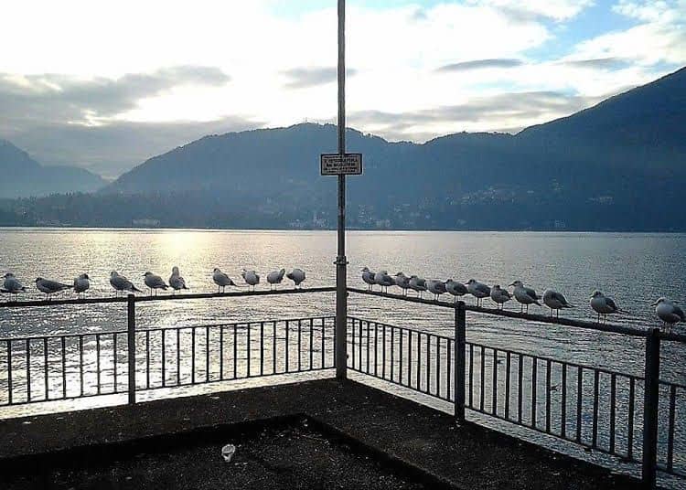Appartamento Vista Lago Red and Grey
