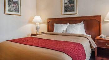 Mississauga Inn and Suites