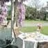 The Peppertree B and B