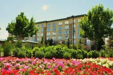 Hilton Garden Inn Denver South/Meridian
