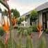 All Seasons Remuera Dunkerron