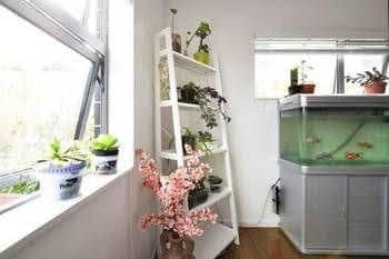 Chic House B and B