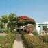 Club Green Oasis Beach Flor Club Green Oasis Beach Flor