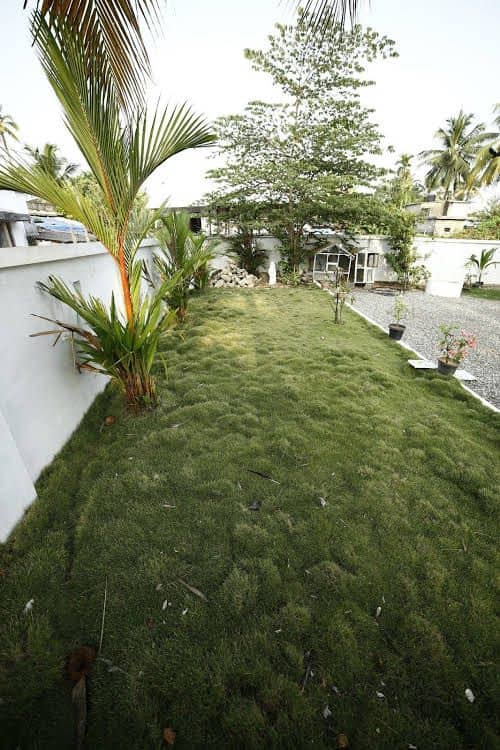 Cochin Cove Homestay