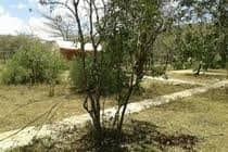 Enkolong Tented Camp Enkolong Tented Camp