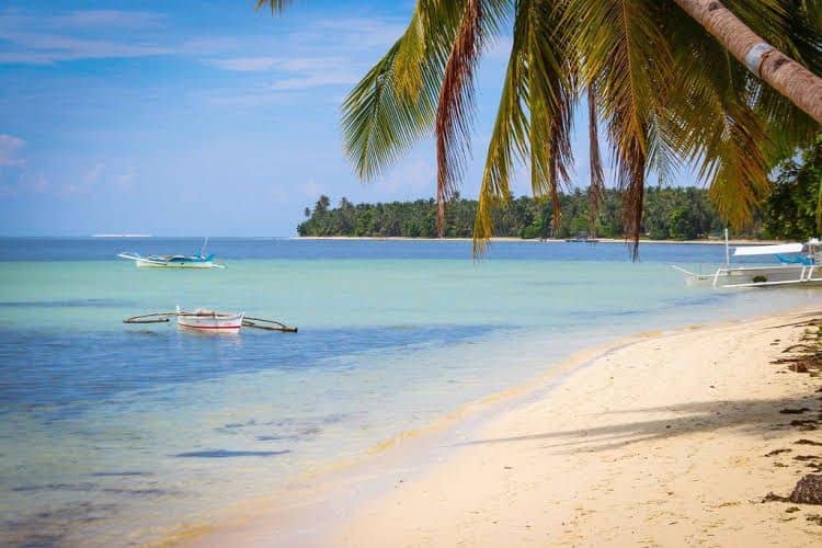 Surfing Carabao Beach Houses