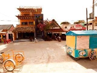 Arena Arena